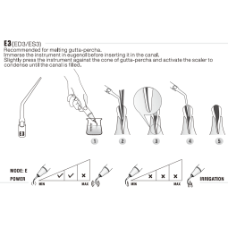Insert ED3 - DTE Woodpecker