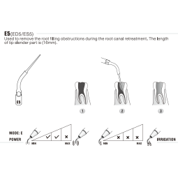 Insert ED5 - DTE Woodpecker