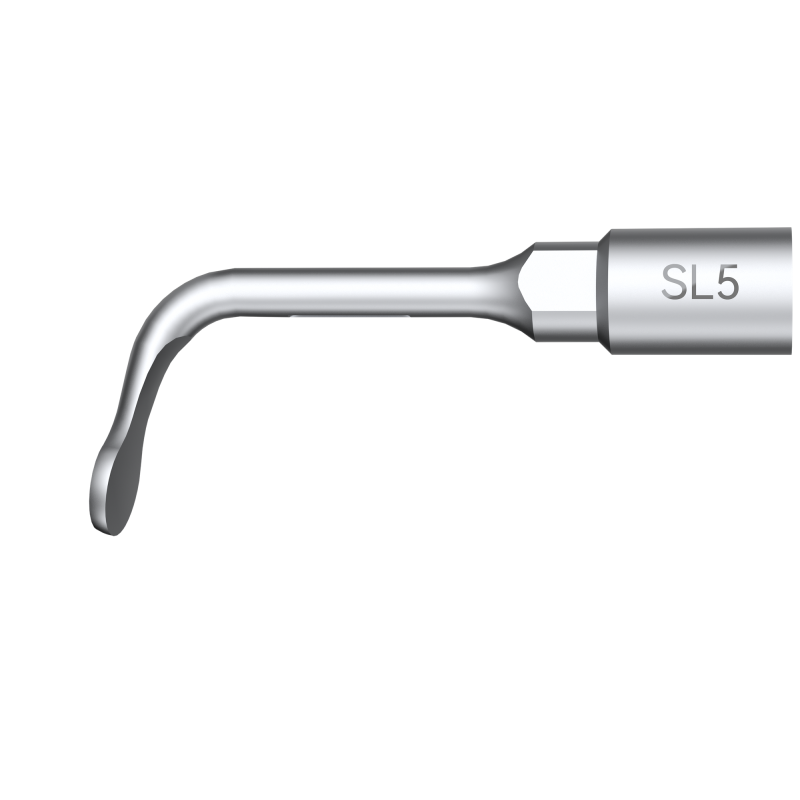 Insert SL5 Piezo - DTE Woodpecker