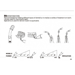 Insert ED8 - DTE Woodpecker