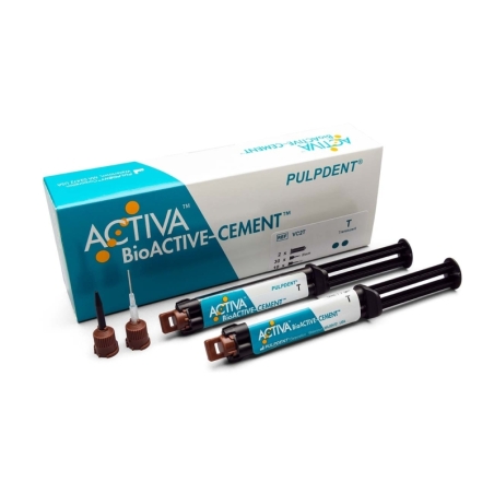 Activa BioActive Ciment VC2 - Seringues (2) - Pulpdent