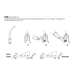 Insert ES10 - Woodpecker