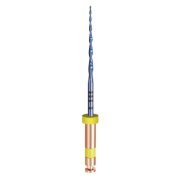 Limes Endodontiques RCP Blue mouvement alternatif (6) - Go!