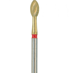 img-023-Z379-023F-FG-fraise-dentaire