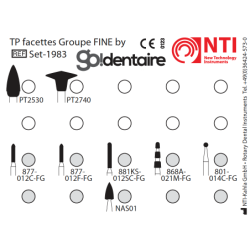 Set 1983 - TP Facettes Groupe FINE - NTI