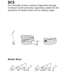 Insert SC5 Piezo - DTE Woodpecker