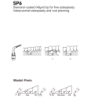 Insert SP6 Piezo - DTE Woodpecker