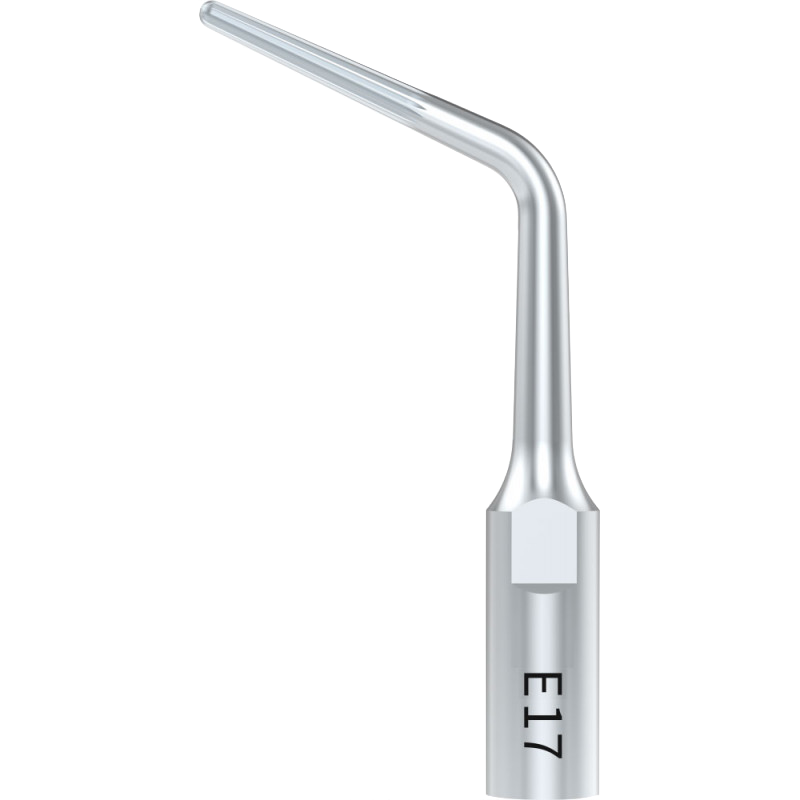 Insert E17 (CAP2) - DTE Woodpecker