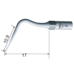 Insert E16 - DTE Woodpecker