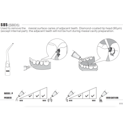 Insert SB5 - DTE Woodpecker