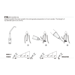 Insert ED10 - DTE Woodpecker