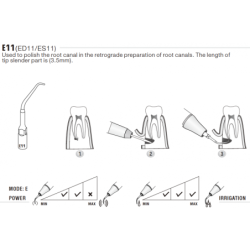 Insert ED11 - DTE Woodpecker