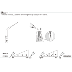 Insert ED7 pour ET25 - DTE Woodpecker