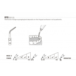 Insert GD12 - DTE Woodpecker