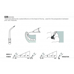 Insert GD30 - DTE Woodpecker