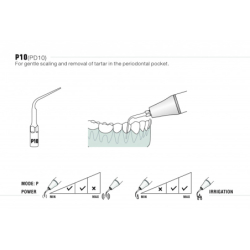 Insert PD10 - DTE Woodpecker