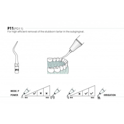 Insert PD11 - DTE Woodpecker