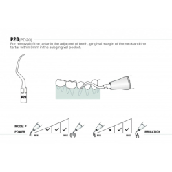 Insert PD20 - DTE Woodpecker