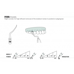 Insert PD20R - DTE Woodpecker