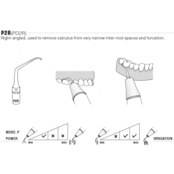 Insert PD2R - DTE Woodpecker