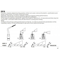 Insert E18 - DTE Woodpecker