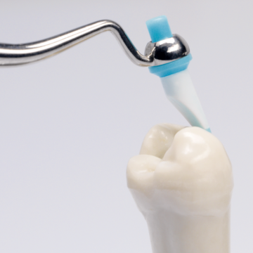 Starter Kit Optrasculpt