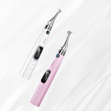 AI-MOTOR / MOTOPEX - MOTEUR ENDODONTIE - DTE WOODPECKER
