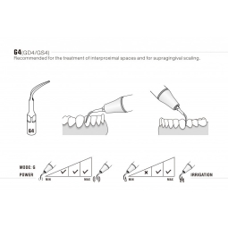 Insert GS4 - Woodpecker