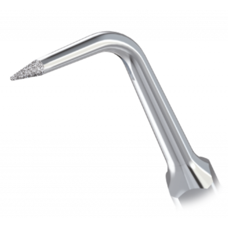 Insert G30 (EMS) - Woodpecker