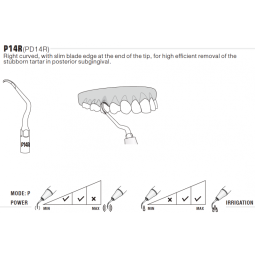 Insert PD14R - DTE Woodpecker