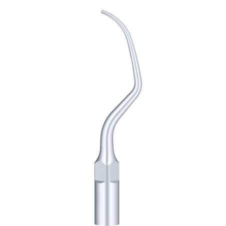 Insert PD20 (Satelec) - DTE Woodpecker