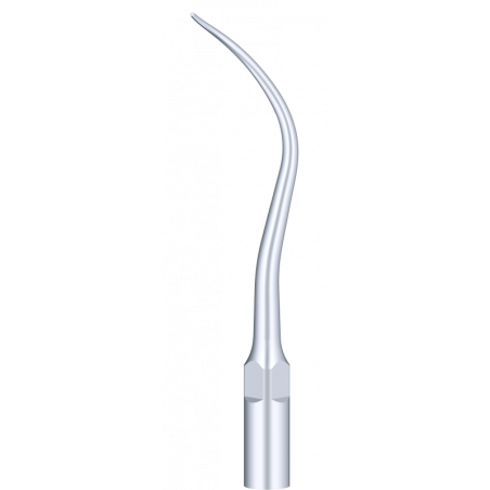 Insert PD21R (Satelec) - DTE Woodpecker