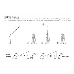 Insert E4 - Woodpecker