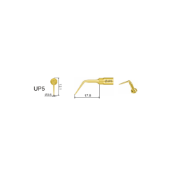 Insert UP5 Piezo - DTE Woodpecker