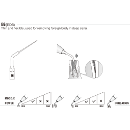 Insert E6 - Woodpecker
