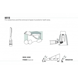 Insert US13 Piezo - DTE Woodpecker