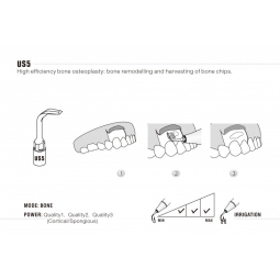 Insert US5 Piezo - DTE Woodpecker