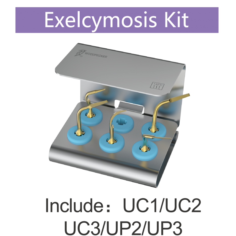 Kit Extraction Piezo - DTE Woodpecker