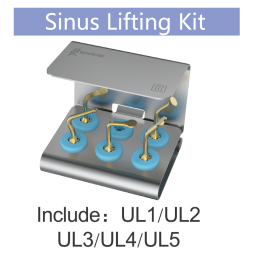 Kit Sinus Lift Piezo - DTE Woodpecker