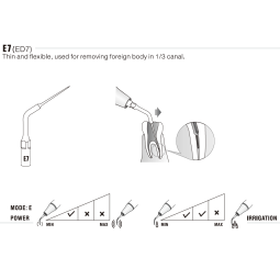 Insert E7 - Woodpecker